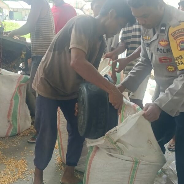 Sinergi Polri dan Petani Jamin Mutu Jagung untuk BULOG