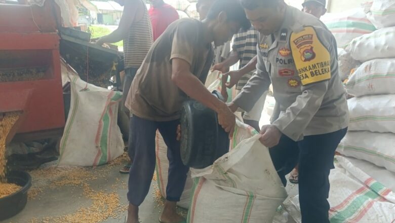 Sinergi Polri dan Petani Jamin Mutu Jagung untuk BULOG