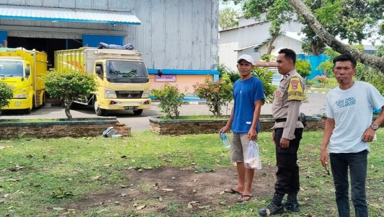 Sinergi Polri dan Petani: Bhabinkamtibmas Lombok Barat Jamin Produksi Jagung