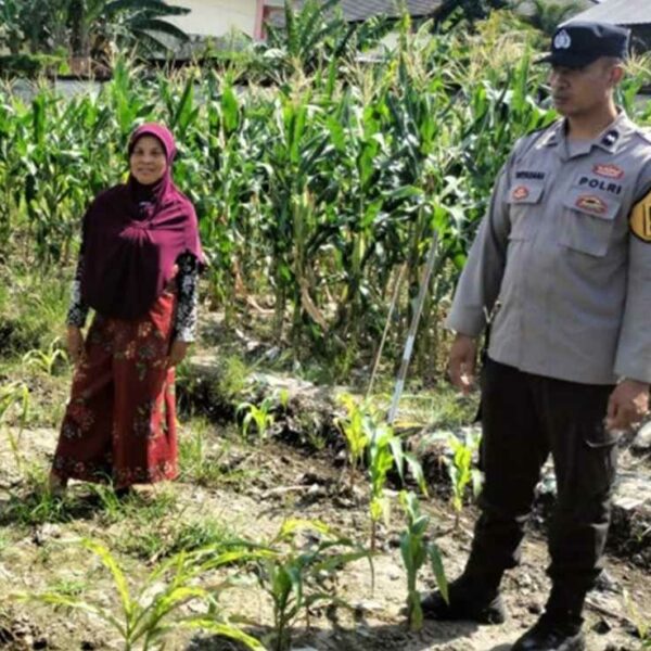 Perkuat Pangan, Polsek Labuapi Ajak Warga Manfaatkan Pekarangan