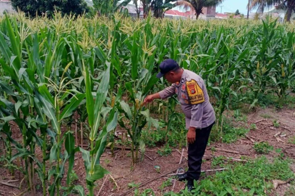 Polri Dukung Swasembada Pangan di Lombok Barat