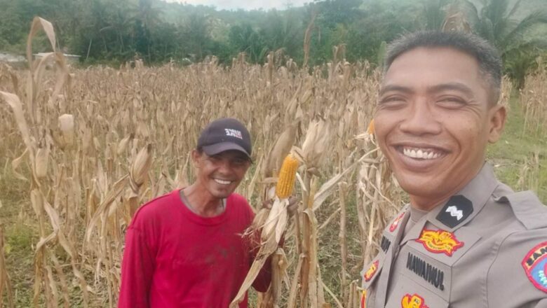 Bhabinkamtibmas Lombok Barat Motivasi Petani Lokal Optimalisasi Hasil