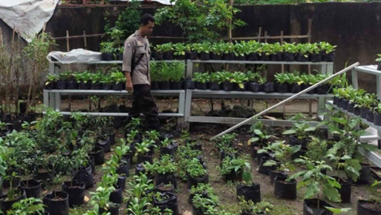 Bhabinkamtibmas Labuapi Ajak Warga Manfaatkan Lahan