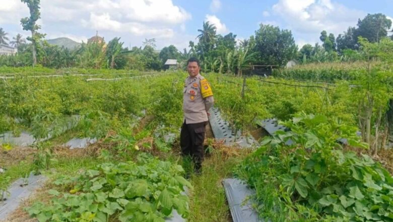 Bhabinkamtibmas di Gerung Dorong Kemandirian Pangan Desa