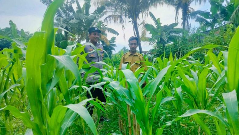 Polri Ajak Warga Bajur Manfaatkan Lahan Pekarangan