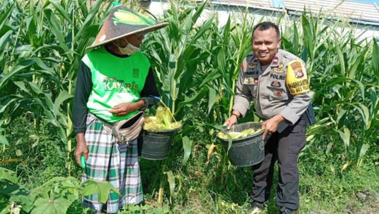 Bhabinkamtibmas Labuapi Ajak Warga Optimalkan Lahan