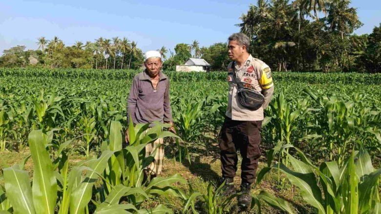 Bhabinkamtibmas Edukasi Warga Sandik Manfaatkan Lahan Tidur