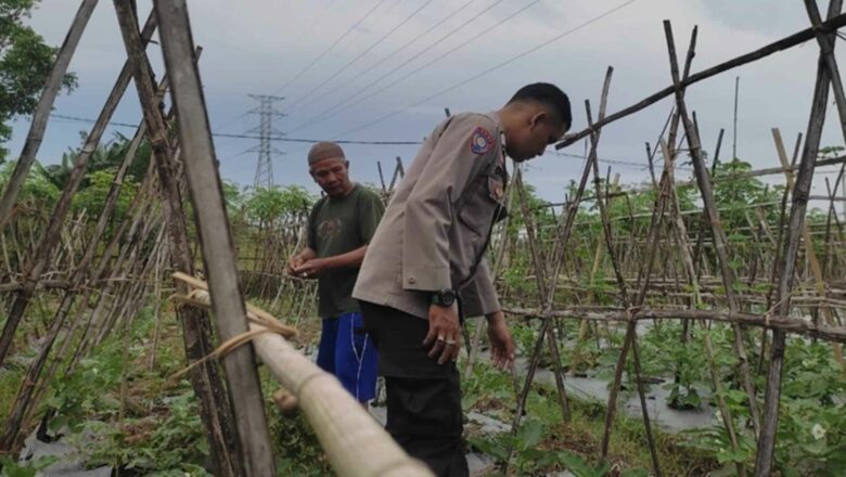 Sinergi Polres Lobar Dukung Swasembada Pangan NTB
