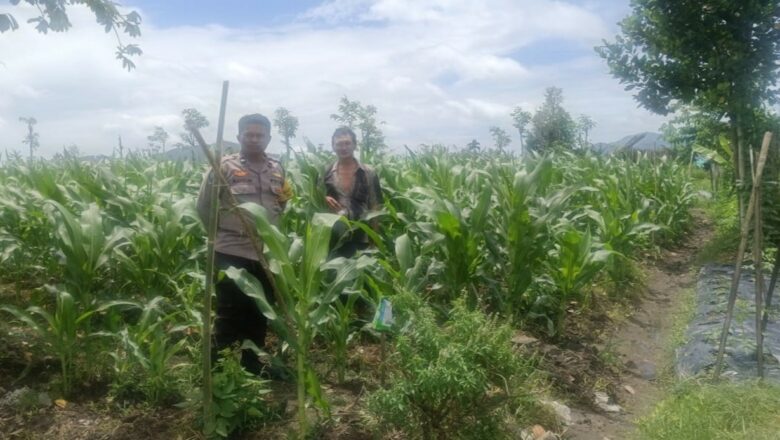 Bhabinkamtibmas Gerung Ajak Warga Beleka Mandiri Pangan