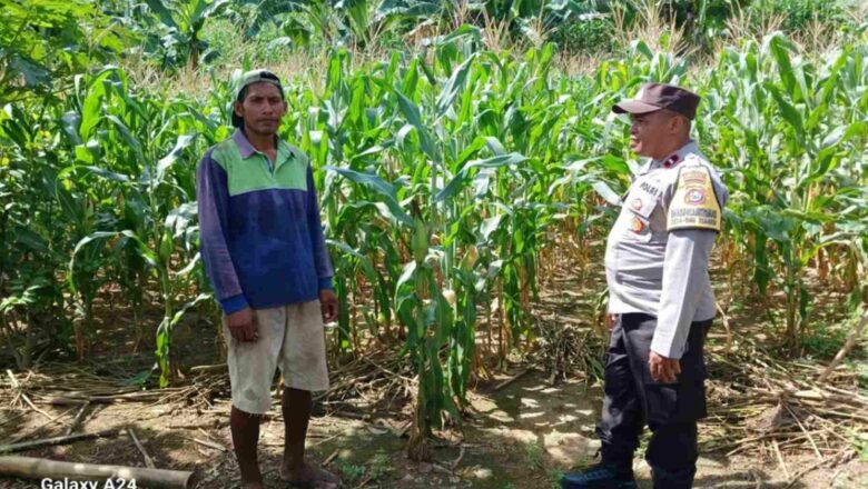 Polsek Gerung Dorong Pemanfaatan Lahan Pekarangan di Giri Tembesi