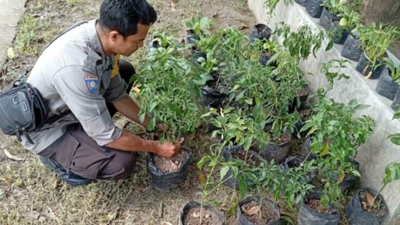 Sinergi Polri dan Warga Bengkel Kelola Lahan Produktif