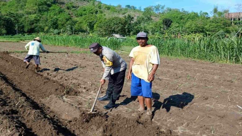 Polsek Gerung Pantau Ketahanan Pangan di Dusun Gumesa Utara Lobar