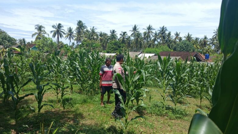 Polri Motivasi Petani Sekotong Barat Optimalkan Lahan Pertanian