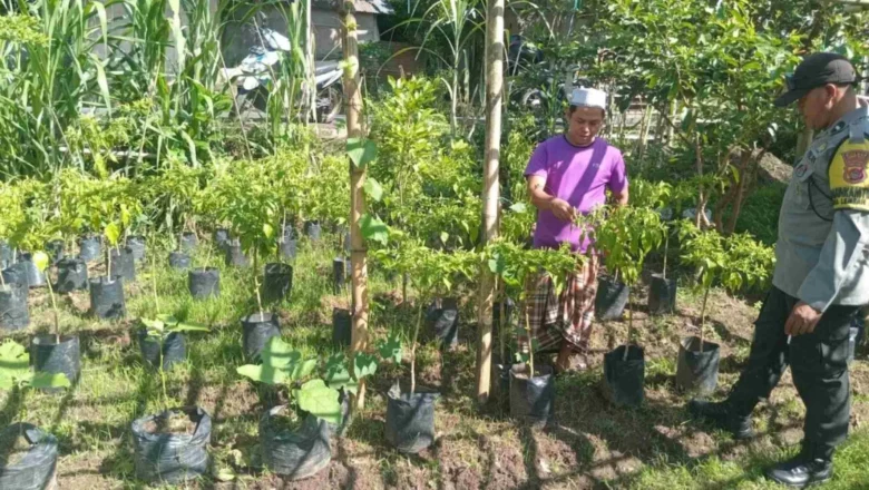 Sinergi Polri dan Warga Sidemen Lauq Budidaya Hortikultura