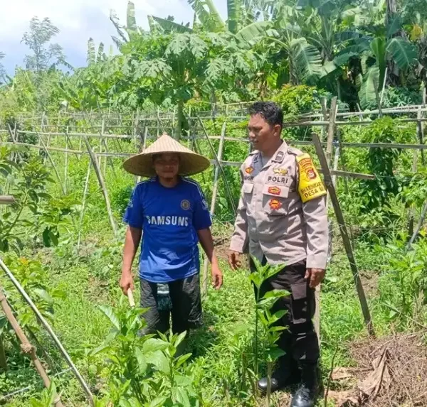 Dukung Kedaulatan Pangan, Polsek Gerung Motivasi Petani Lokal