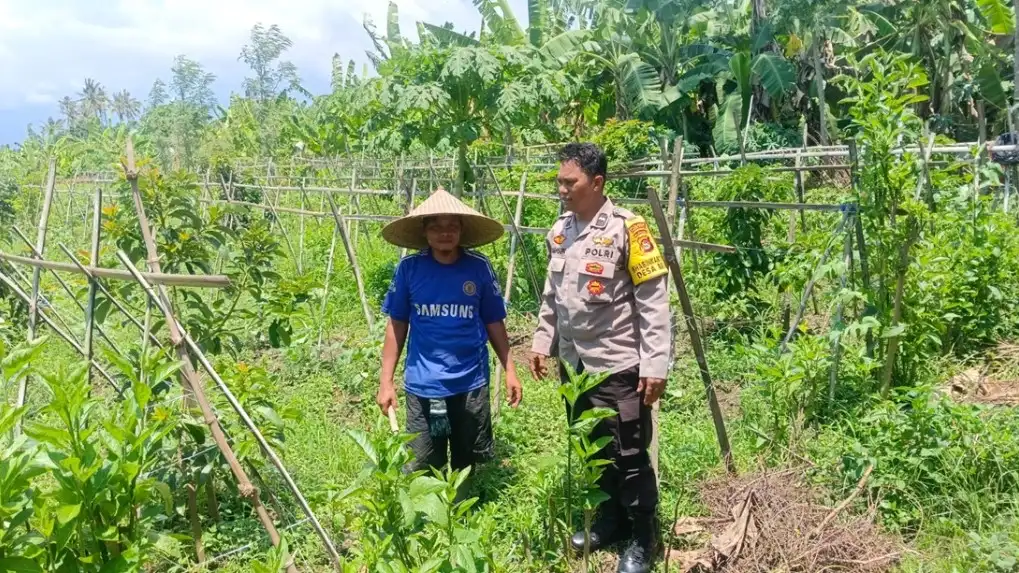 Dukung Kedaulatan Pangan, Polsek Gerung Motivasi Petani Lokal