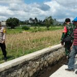 Dukung Ketahanan Pangan, Bhabinkamtibmas Labuapi Sambangi Petani