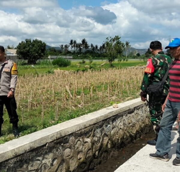 Dukung Ketahanan Pangan, Bhabinkamtibmas Labuapi Sambangi Petani