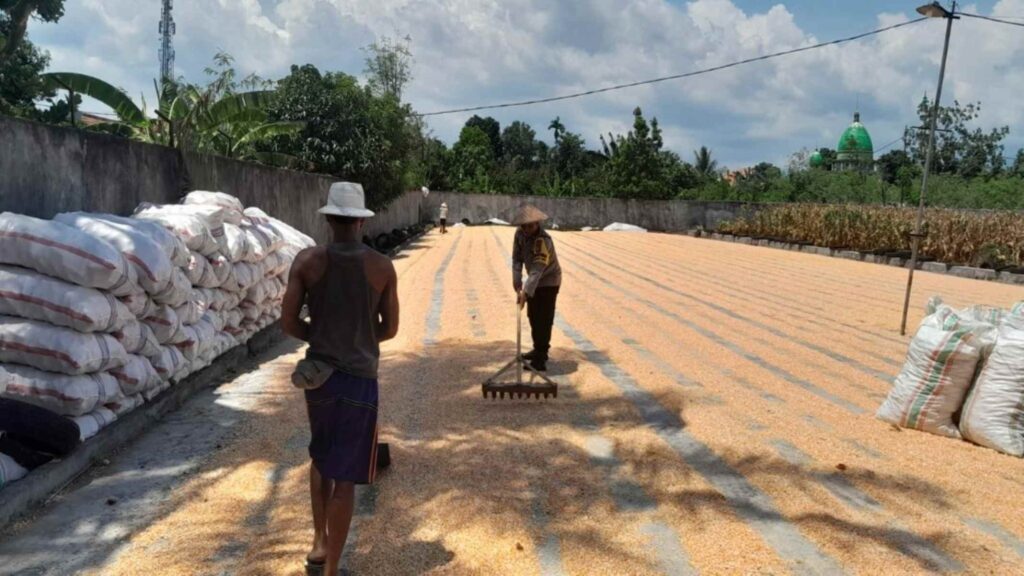 Sinergi Bhabinkamtibmas dan Petani Dasan Tapen Garap Lahan Produktif