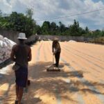 Sinergi Bhabinkamtibmas dan Petani Dasan Tapen Garap Lahan Produktif