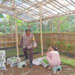 Bhabinkamtibmas Polres Lobar Kawal Ketahanan Pangan di Dusun Kondak