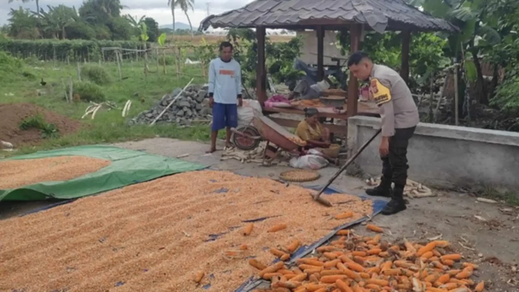 Langkah Polsek Labuapi Optimalkan Lahan Produktif di Kuranji Dalang
