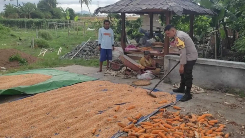 Langkah Polsek Labuapi Optimalkan Lahan Produktif di Kuranji Dalang