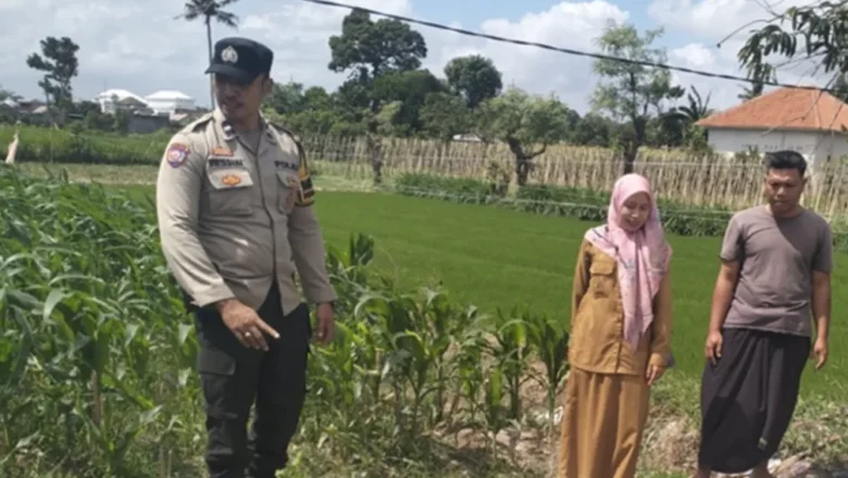 Cara Polsek Labuapi Wujudkan Kemandirian Pangan dari Pekarangan