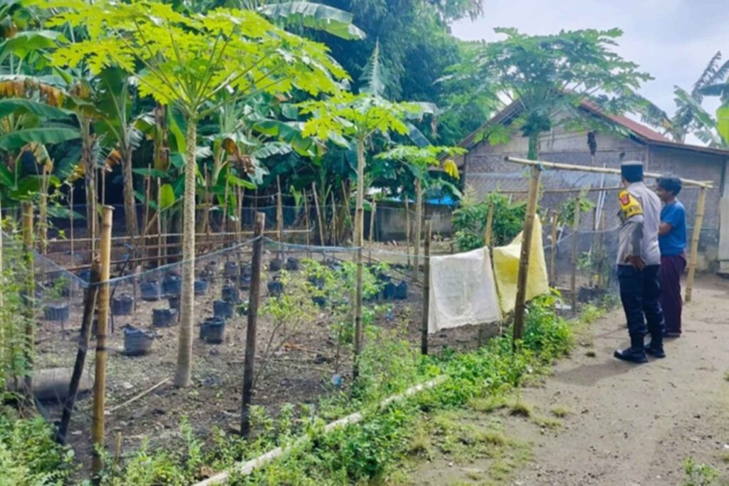 Dukung Program Presiden, Polsek Labuapi Masifkan Ketahanan Pangan