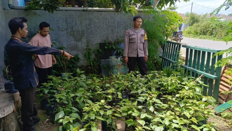 Bhabinkamtibmas Labuapi Dorong Warga Kelola Bibit di Lahan Terbatas