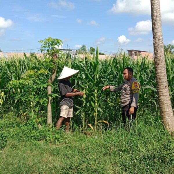 Bhabinkamtibmas Bagik Polak Barat Kawal Produktivitas Petani Lokal