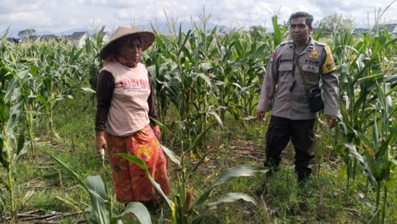 Sinergi Polri dan Petani Bagik Polak Wujudkan Kemandirian Pangan