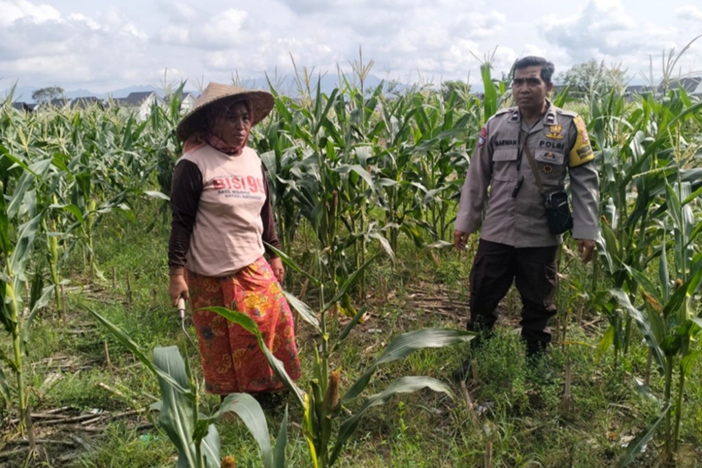 Sinergi Polri dan Petani Bagik Polak Wujudkan Kemandirian Pangan