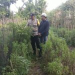 Bhabinkamtibmas Desa Babussalam Dorong Kemandirian Pangan Warga Gerung