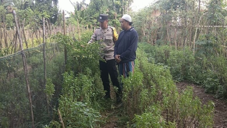 Bhabinkamtibmas Desa Babussalam Dorong Kemandirian Pangan Warga Gerung