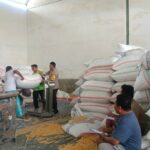 Bhabinkamtibmas Kawal Produktivitas Petani di Mendagi