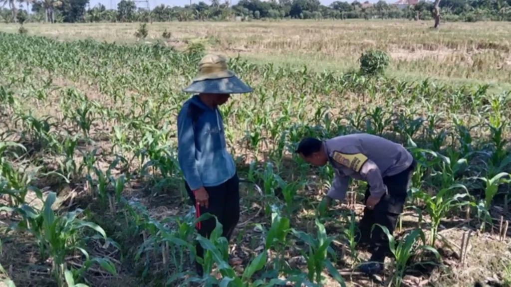 Polsek Labuapi Dorong Optimalisasi Lahan Pekarangan Warga