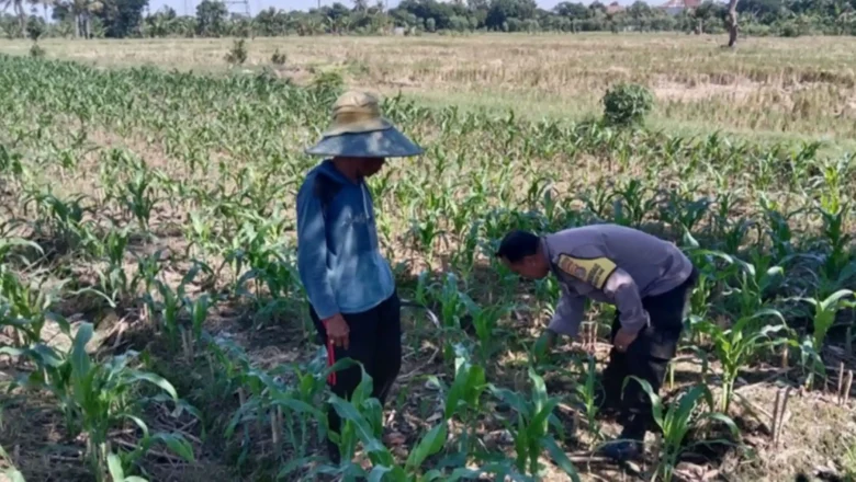 Polsek Labuapi Dorong Optimalisasi Lahan Pekarangan Warga