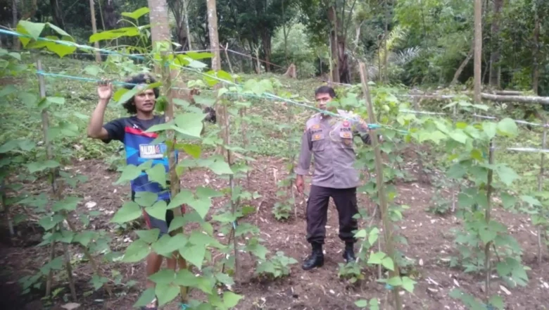 Strategi Bhabinkamtibmas Batulayar Optimalkan Lahan Pekarangan
