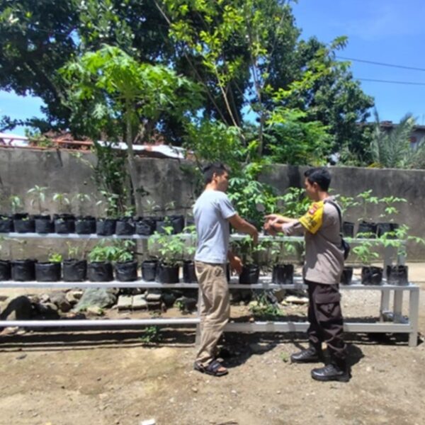 Transformasi Lahan Terbatas Jadi Sumber Pangan di Desa Bengkel