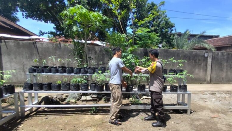 Transformasi Lahan Terbatas Jadi Sumber Pangan di Desa Bengkel