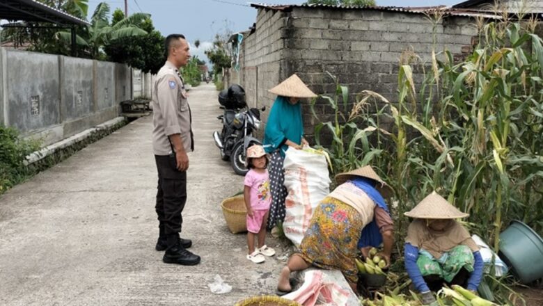 Bhabinkamtibmas Labuapi Sulap Lahan Sempit Jadi Area Produktif