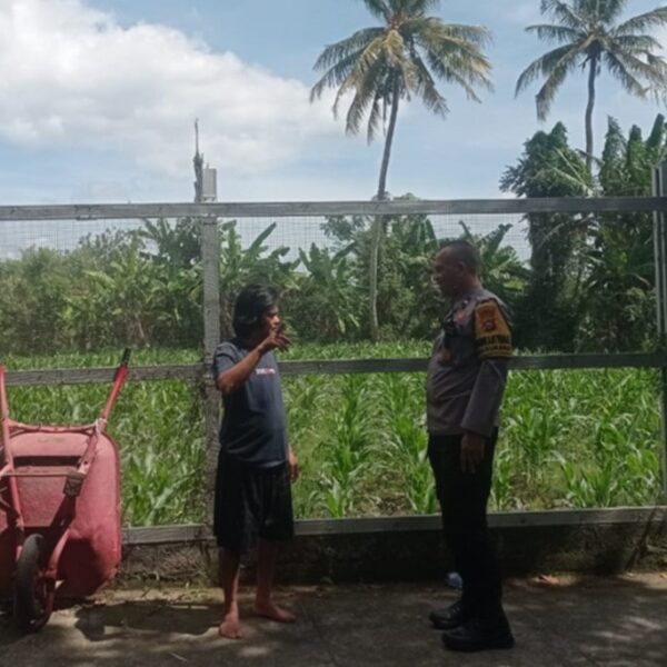 Inovasi Rak Bertingkat Solusi Pangan di Lahan Sempit