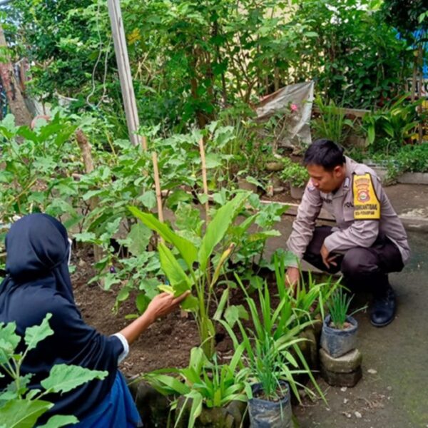 Bhabinkamtibmas Perampuan Gerakkan Program Pekarangan Bergizi di Labuapi