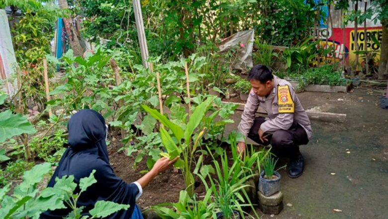 Bhabinkamtibmas Perampuan Gerakkan Program Pekarangan Bergizi di Labuapi
