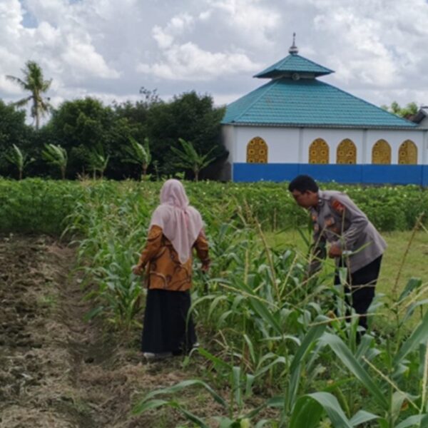 Sinergi Polsek Labuapi Dukung Swasembada Pangan di Desa