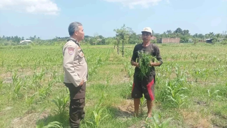 Langkah Polsek Batulayar Wujudkan Swasembada Pangan di Lombok Barat